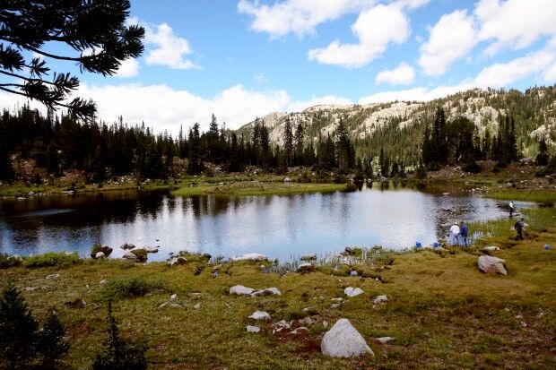 Jeff Lake north of Cooke City